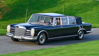 Pro & Kontra: Exoten aus Übersee