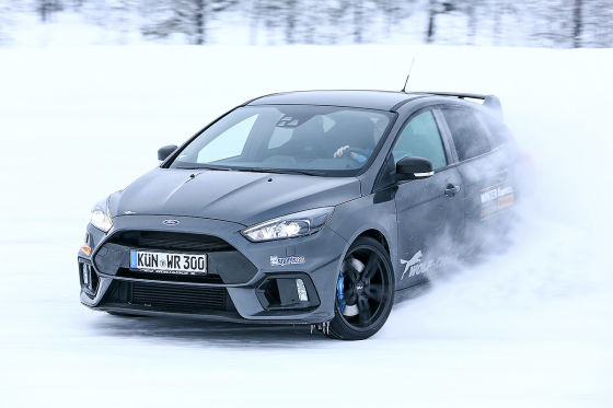 Wolf Focus RS