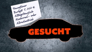 Welches Auto ist das richtige?