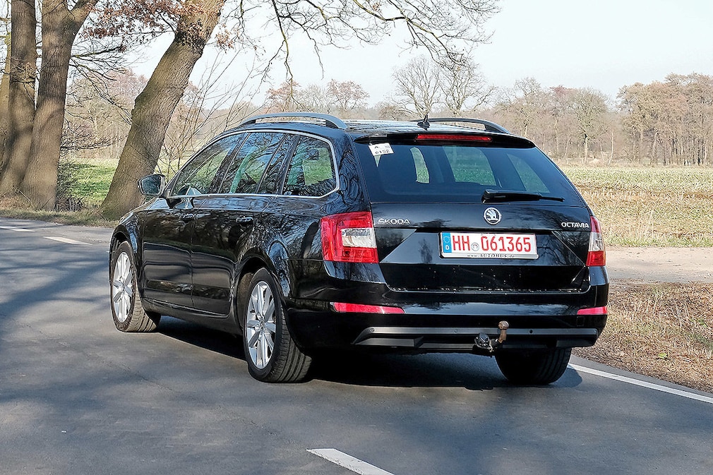 Gebrauchtwagen-Test Skoda Octavia Combi