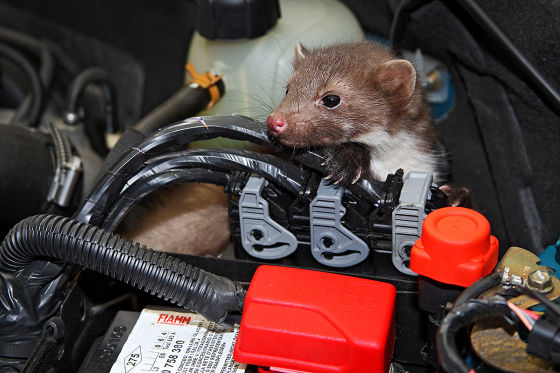 Gründe für Startprobleme