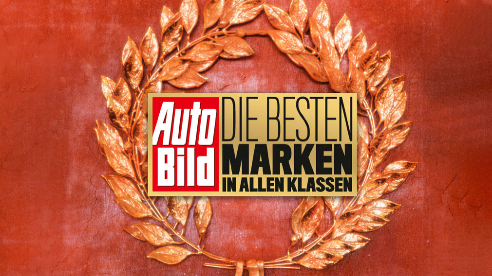 Die besten Marken aller Klassen 2019