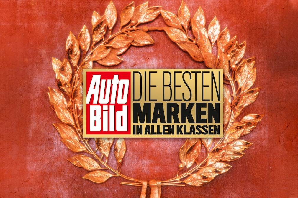Die besten Marken aller Klassen 2019