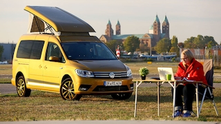 Reimo Caddy Camp
