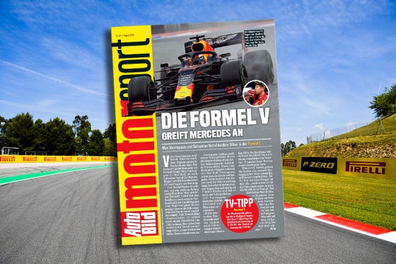 Berger rät Verstappen zu bleiben