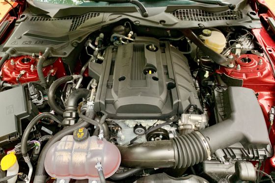 Lieber einen Mustang mit Vierzylinder kaufen?