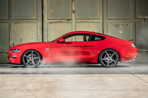 Sieben Mustangs zum Geburtstag