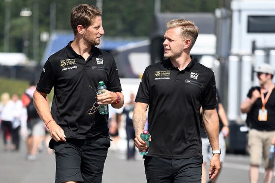 Haas mit Problemen von unten