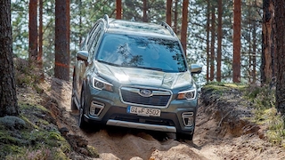 Subaru Forester e-Boxer (2019): Fahrbericht