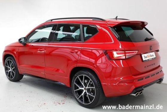 Alltagstauglicher Kampfstier von Seat