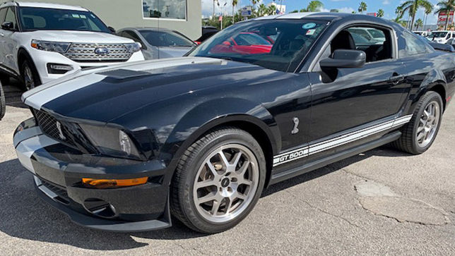 Mustang Shelby Gt500 2019 Gebrauchtwagen Muscle Car Infos Shelby Gt500 Im Neuzustand