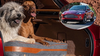 Aston Martin DBX (2019): Haustier-Paket
