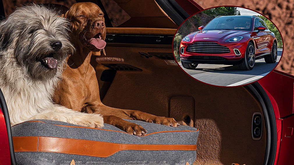 Aston Martin DBX (2019): Haustier-Paket