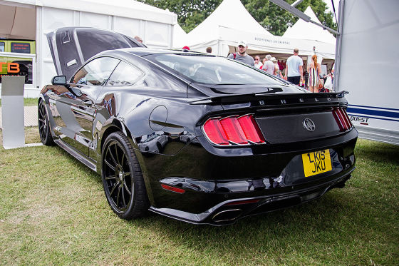 Mustang-Einzelstück "Satan" wird verkauft