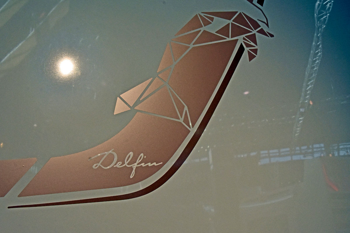 Das ist der neue Bürstner Delfin (2020)