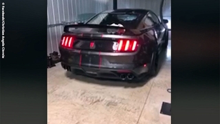 Ford Mustang Shelby GT350R: Crash in Garage