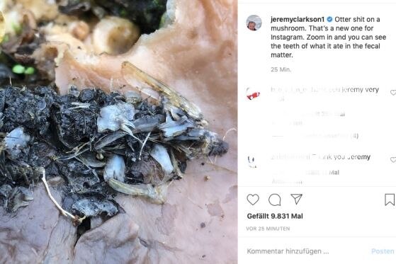 Clarkson provoziert mit ekelhaftem Foto