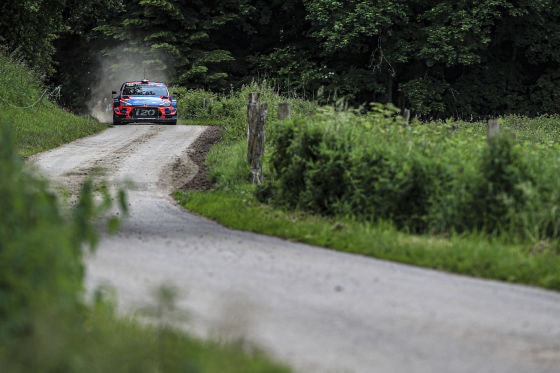 Loeb