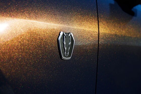 Ford Mustang Dark Horse