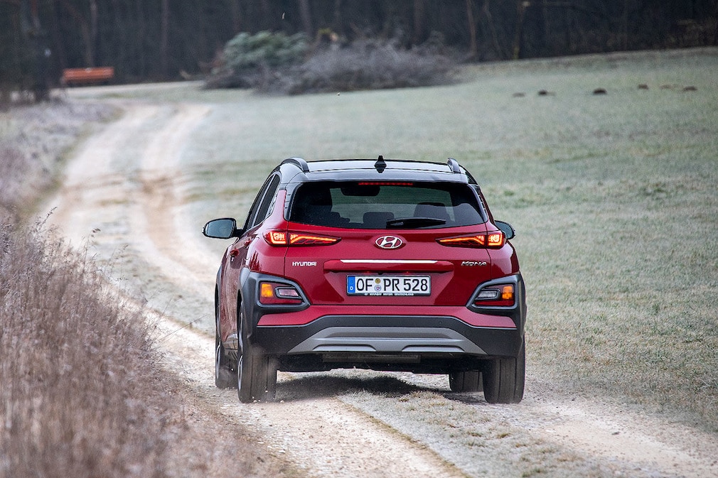 Die Top 10 der kleinen SUVs im Check