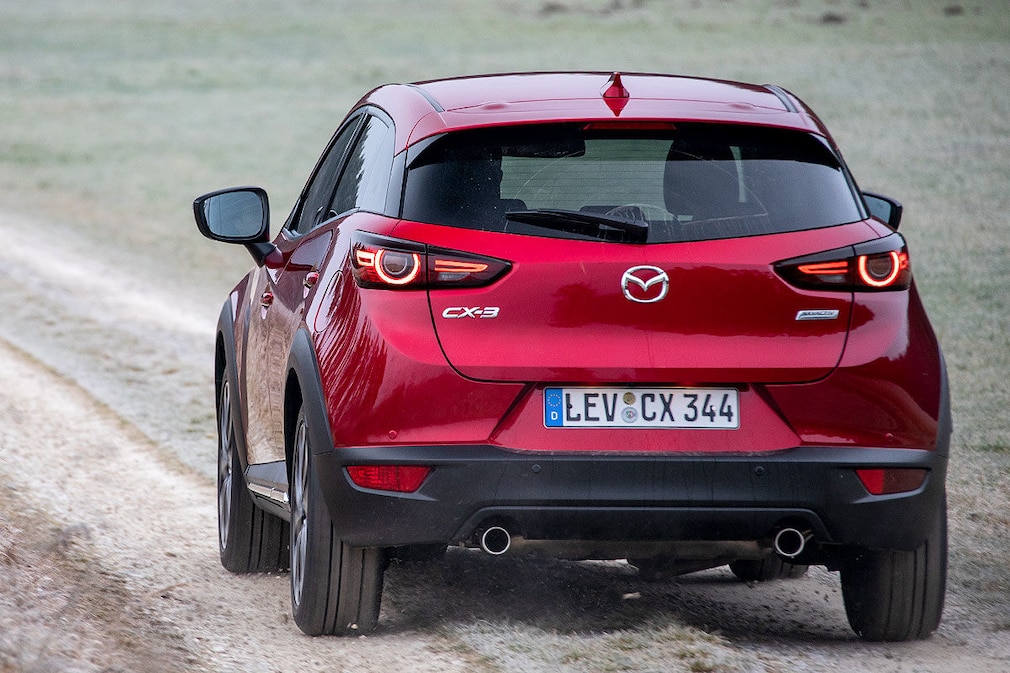 Die Top 10 der kleinen SUVs im Check