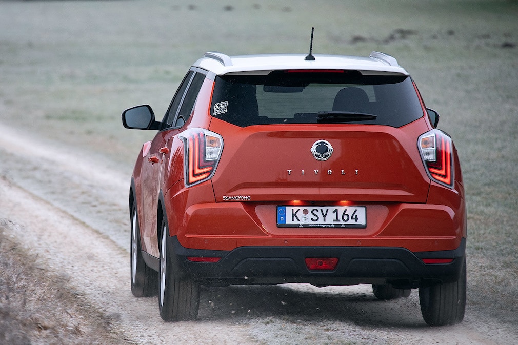 Die Top 10 der kleinen SUVs im Check