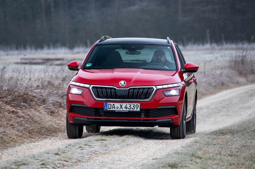 Die Top 10 der kleinen SUVs im Check