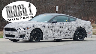 Ford Mustang Mach 1 (2020): 2021, Leak, 1968, V8, Shelby