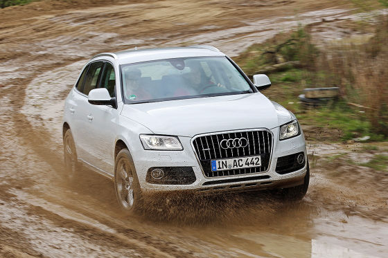 Audi Q5: Gebrauchtwagen-Kaufberatung