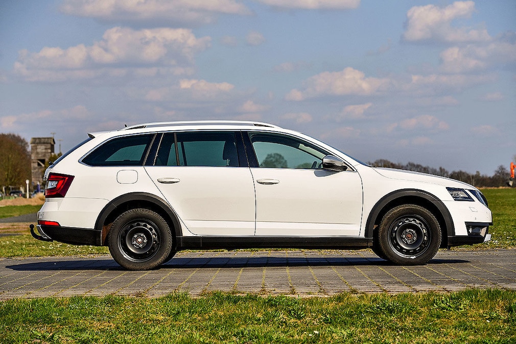 Gebrauchtwagen-Test Skoda Octavia Scout