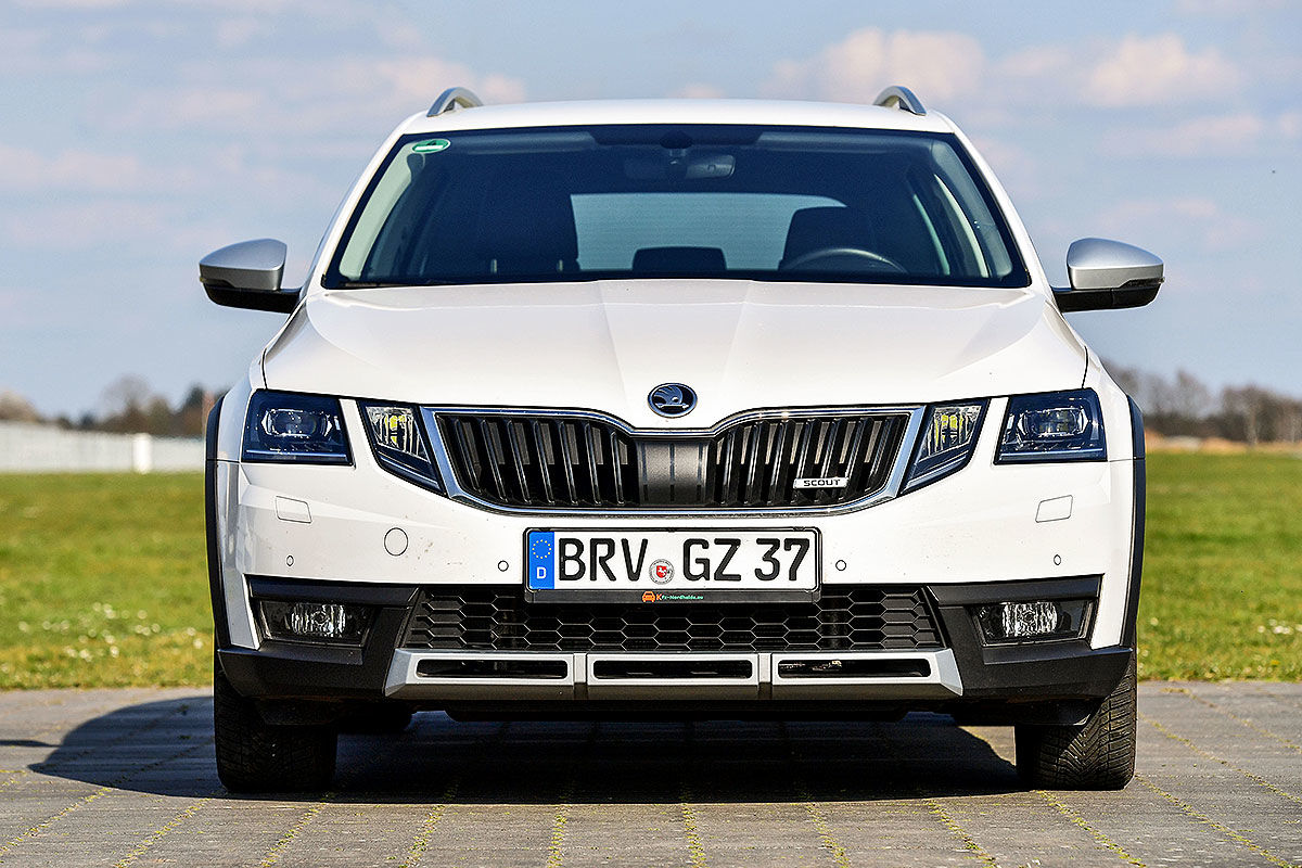 Gebrauchtwagen-Test Skoda Octavia Scout - Bilder - autobild.de