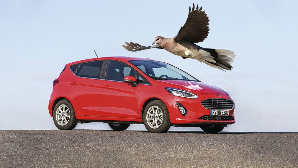Ford-Labor stellt Vogelkot her Ford-Labor stellt Vogelkot her