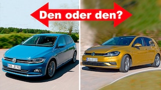 Bewährter Golf oder neuer Polo?