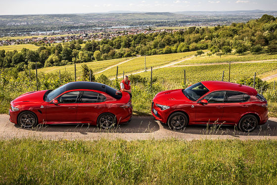 Alfa Stelvio Quadrifoglio Alfa Giulia Quadrifoglio