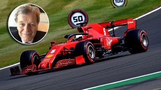 Vettel mit Haud Portrait 2020