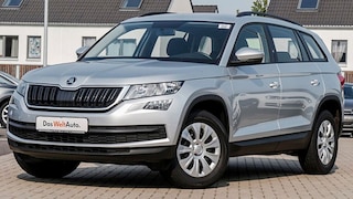 Top gepflegter Skoda Kodiaq mit wenig Kilometern