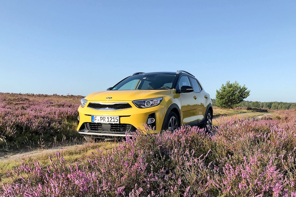 Kia Stonic im Dauertest