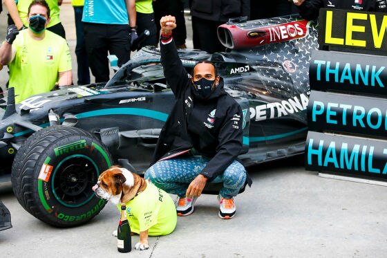 Hamiltons Hund Star in Mercedes-Werbespot