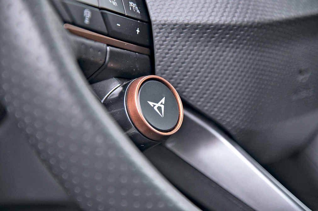 Cupra Formentor 2.0 TSI 4Drive   