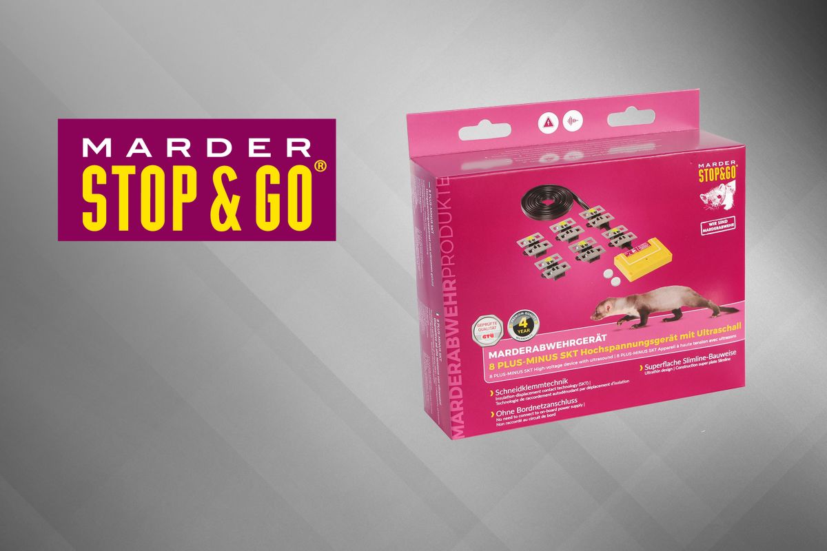 3. Preis