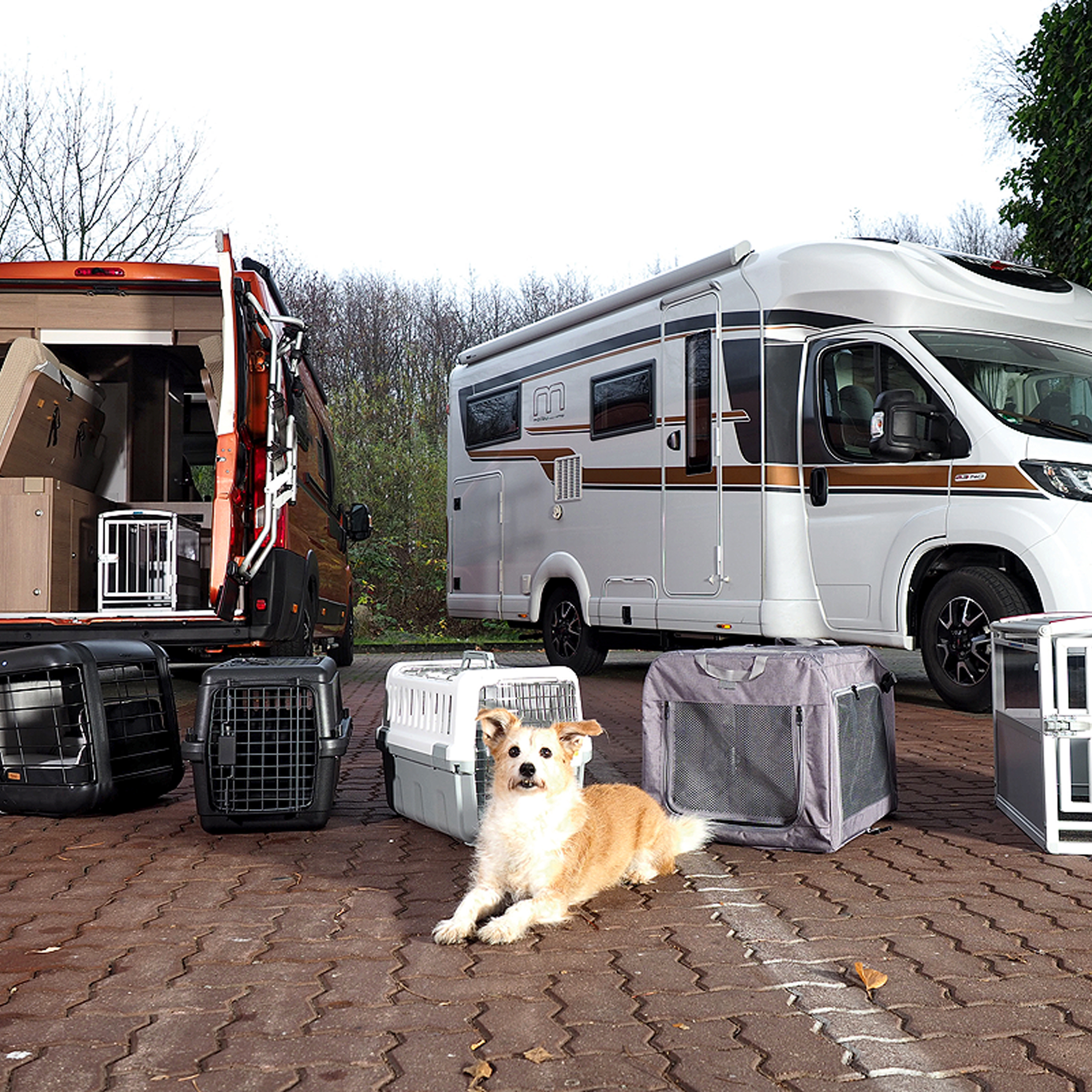 Hundeboxen: 7 Transportboxen im Test (2021) - AUTO BILD