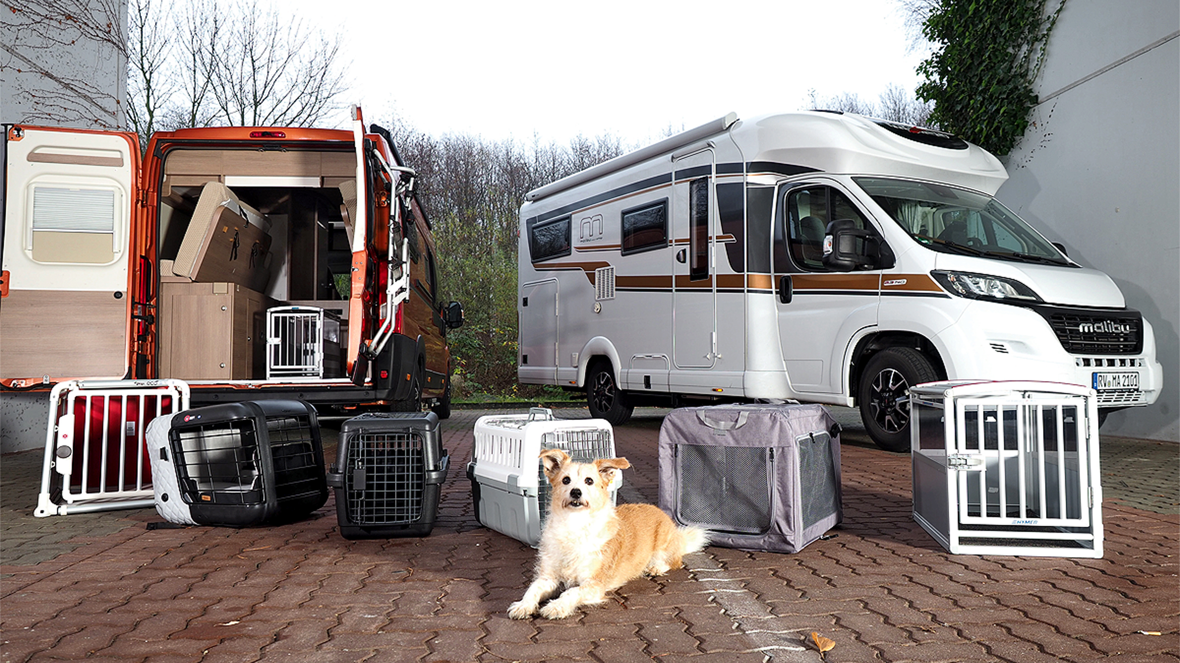 Hundeboxen: 7 Transportboxen im Test (2021) - AUTO BILD