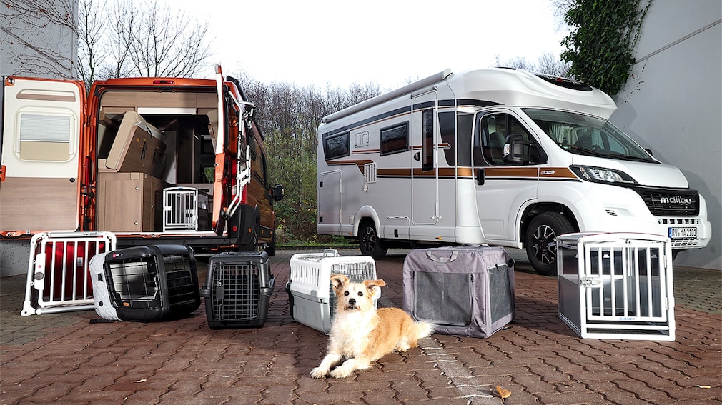 Mobile Transportbox -  4pets Eco 1 S     4pets Caree        AniOne Top Door S         AniOne Open Top            AniOne Traveller+ S       Hymer Schmidt Hundebox