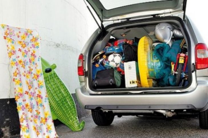 Sieben Vans im Vergleich