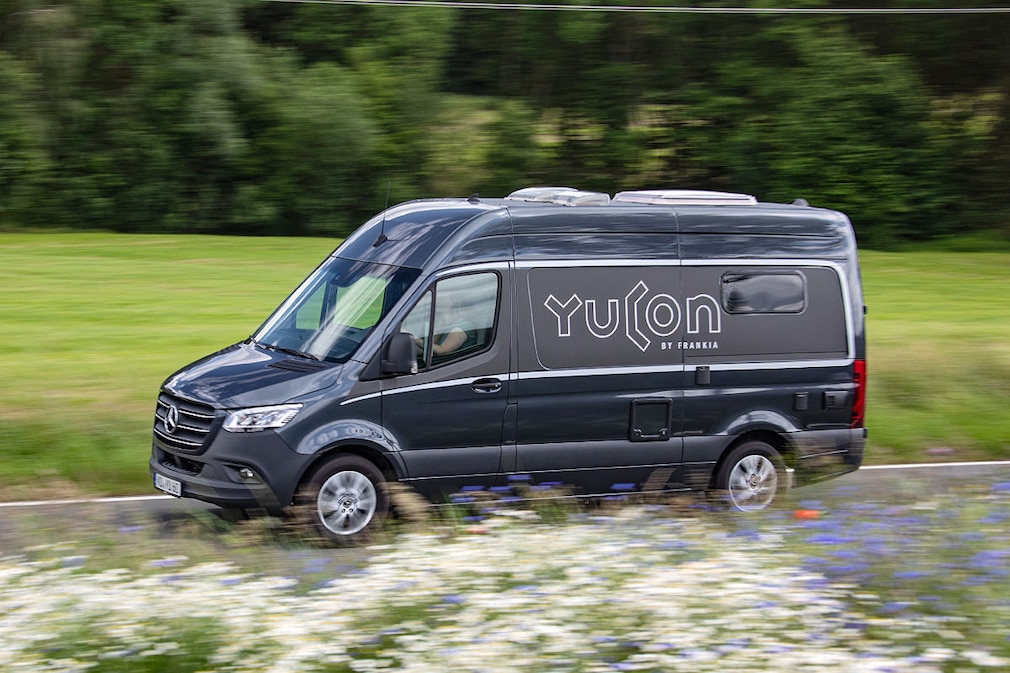 Frankia Yucon 6.0