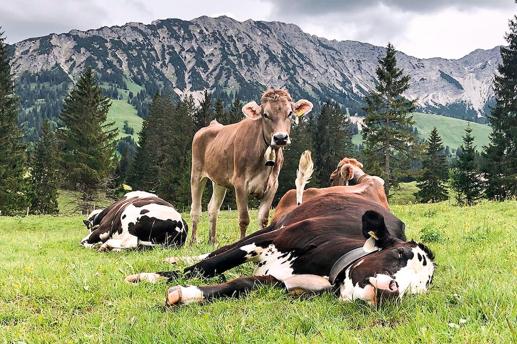 Die 10 spektakulärsten Campingplätze Deutschlands - Campingplatz Bergheimat Oberjoch