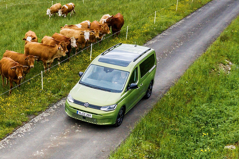VW Caddy California Maxi 4Motion