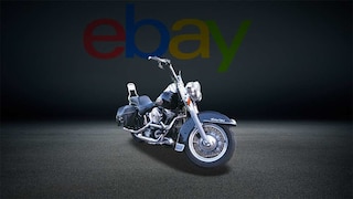 eBay  Harley Davidson Heritage Softail