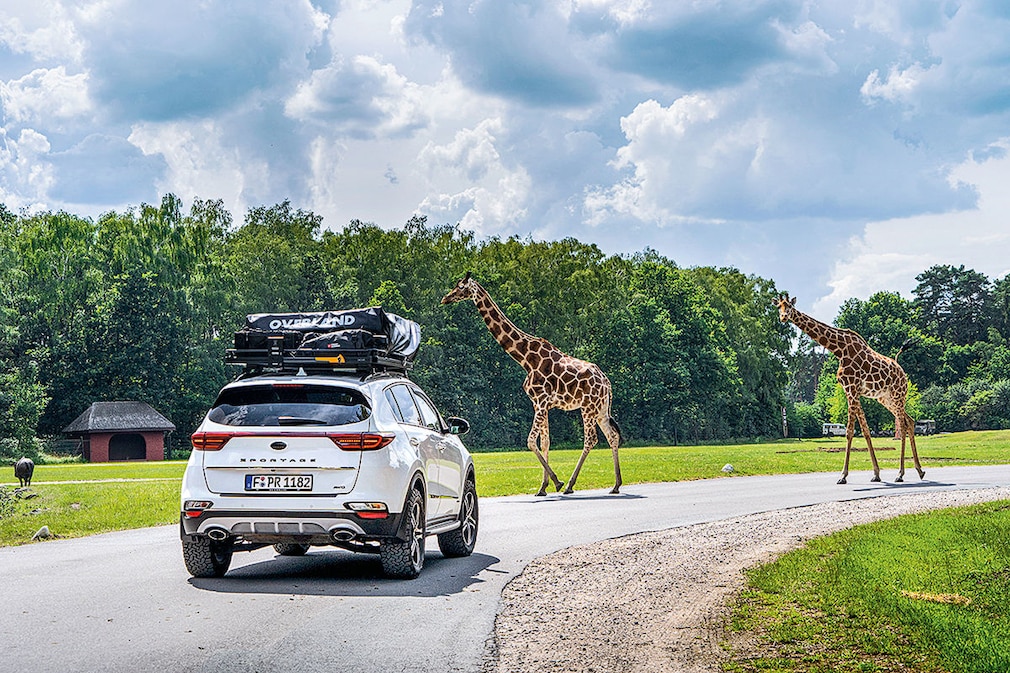 Kia Sportage Glamping