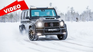 Besonderes Einzelstück im Schnee